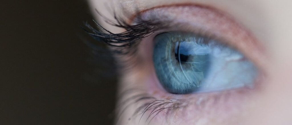 novo tipo de célula na retina