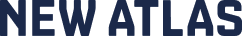Vector