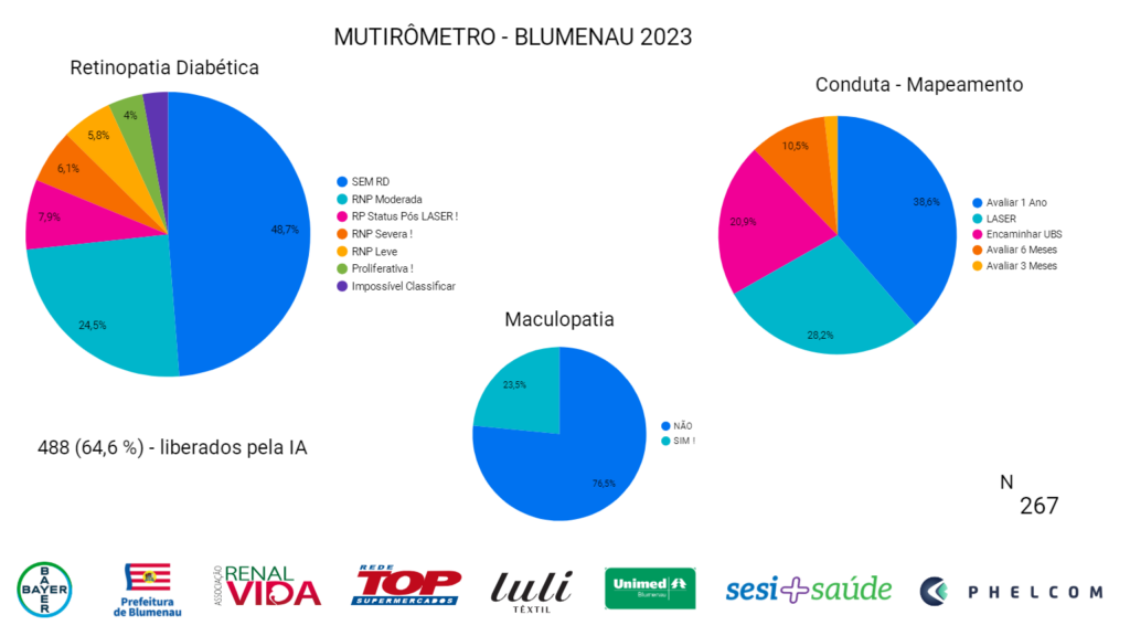Img Mutirometro Mutirao Diabetes Blumenau Comorbidades