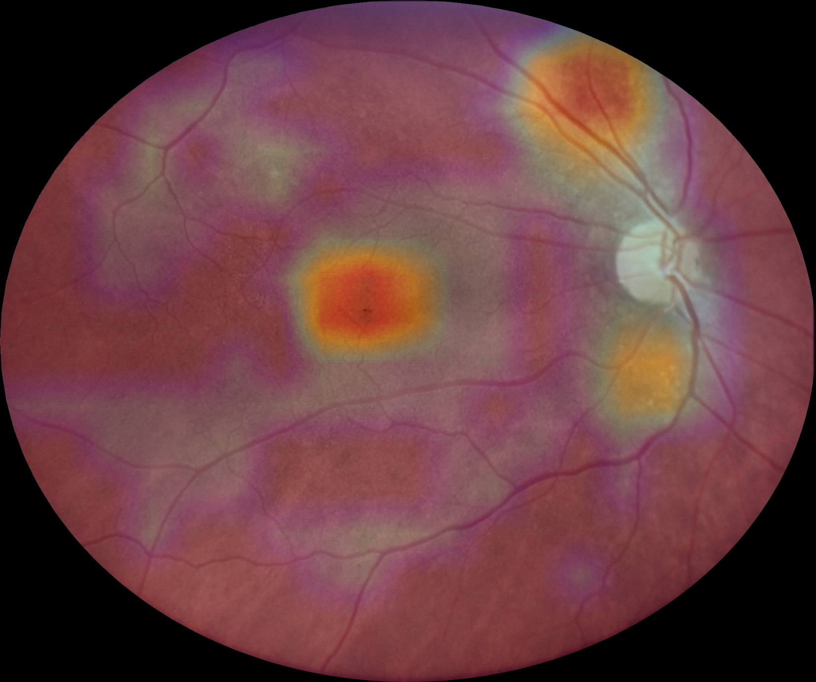 eyermaps_obvia_00 Img Eyermaps En óbvio3 B